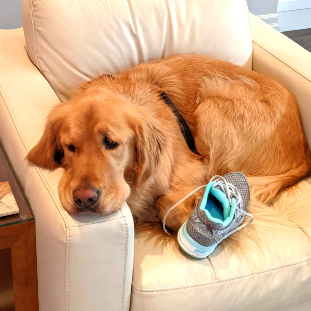 Meet your Posher, Christy